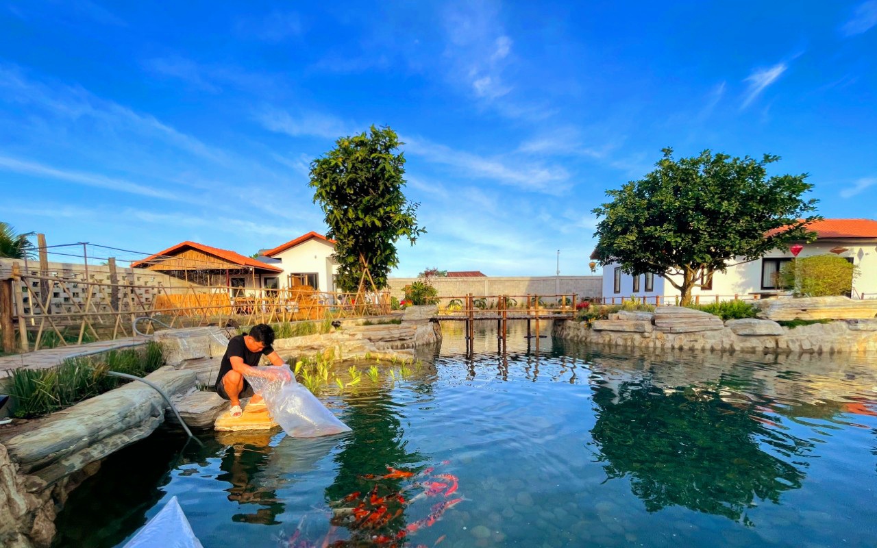 Đào ao nước trong leo lẻo thấy đáy, nuôi thứ cá quý tộc gì mà hai anh trai phường ở Bà Rịa-Vũng Tàu giàu lên?