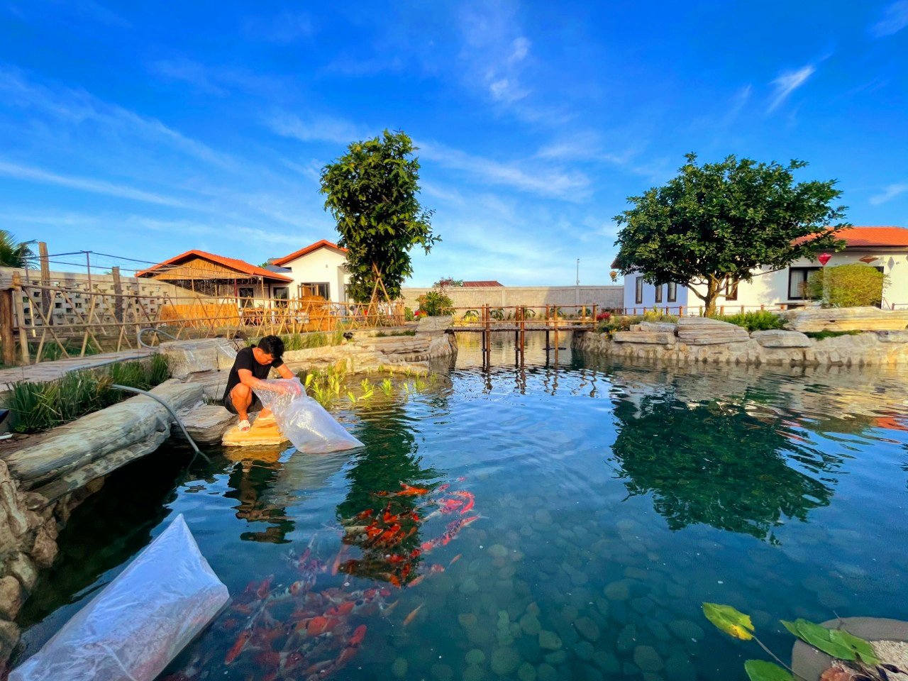 Đào ao nước trong leo lẻo thấy đáy, nuôi thứ cá quý tộc gì mà hai anh trai phường ở Bà Rịa-Vũng Tàu giàu lên? - Ảnh 1.