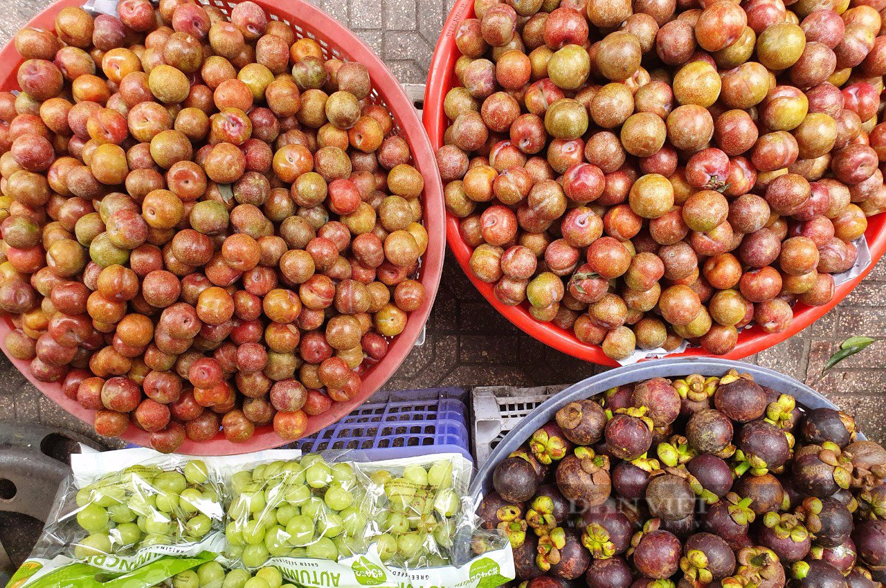 Mận hậu tại TP.HCM tới 150.000-200.000 đồng/kg - Ảnh 1.