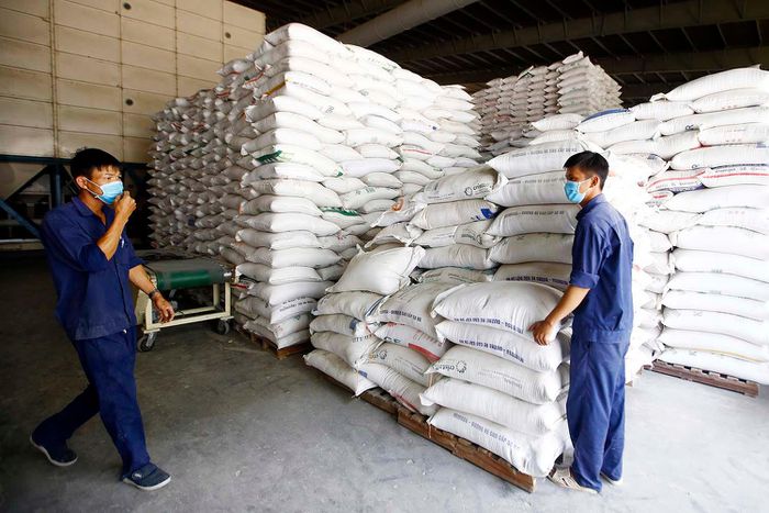 Được mùa xuất khẩu gạo sang EU - Ảnh 1.