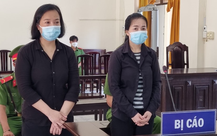 Làm giả giấy tờ đất để lừa đảo, 2 chị em ruột lãnh 24 năm tù - Ảnh 2.