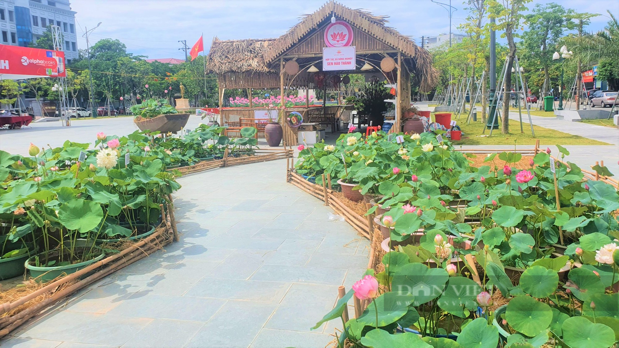 Rực rỡ cờ đỏ, băng rôn kỷ niệm 65 năm ngày Bác Hồ về thăm Hà Tĩnh và 15 năm thanh lập TP.Hà Tĩnh - Ảnh 7.