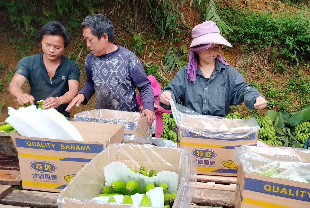 Trung Quốc kiểm tra vùng trồng và cơ sở đóng gói nông sản xuất khẩu - Ảnh 1.