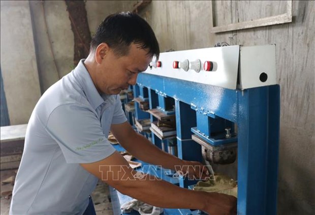 Làm giàu khác người: Nhặt lá cây dại bán sang tận Singapor, Ba Lan của chàng trai Phú Yên - Ảnh 4.