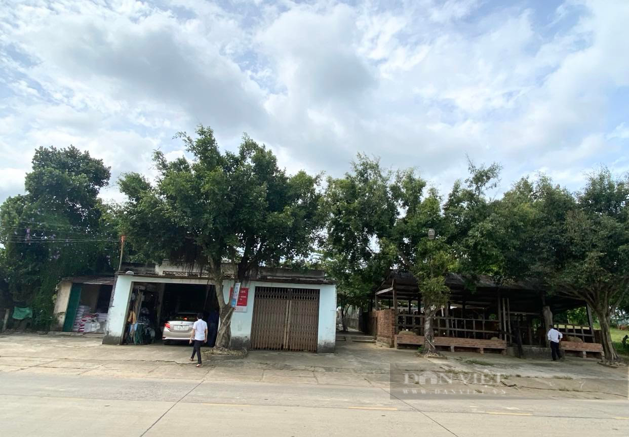 Đắk Lắk: Nhiều hộ dân bỗng dưng &quot;bị nghèo&quot; - Ảnh 1.