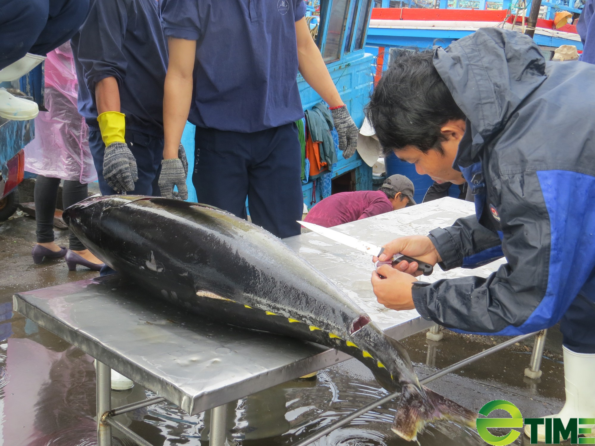 Tập trung 6 ngành chủ đạo phát triển bền vững kinh tế biển Việt Nam - Ảnh 3. Tập trung 6 ngành chủ đạo phát triển bền vững kinh tế biển Việt Nam - Ảnh 3.