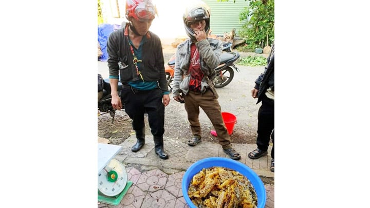 Mua mật ong rừng bằng...niềm tin, cảnh giác kẻo mua phải thứ mật rởm nấu từ đường, phèn chua, hương liệu hóa học - Ảnh 1.