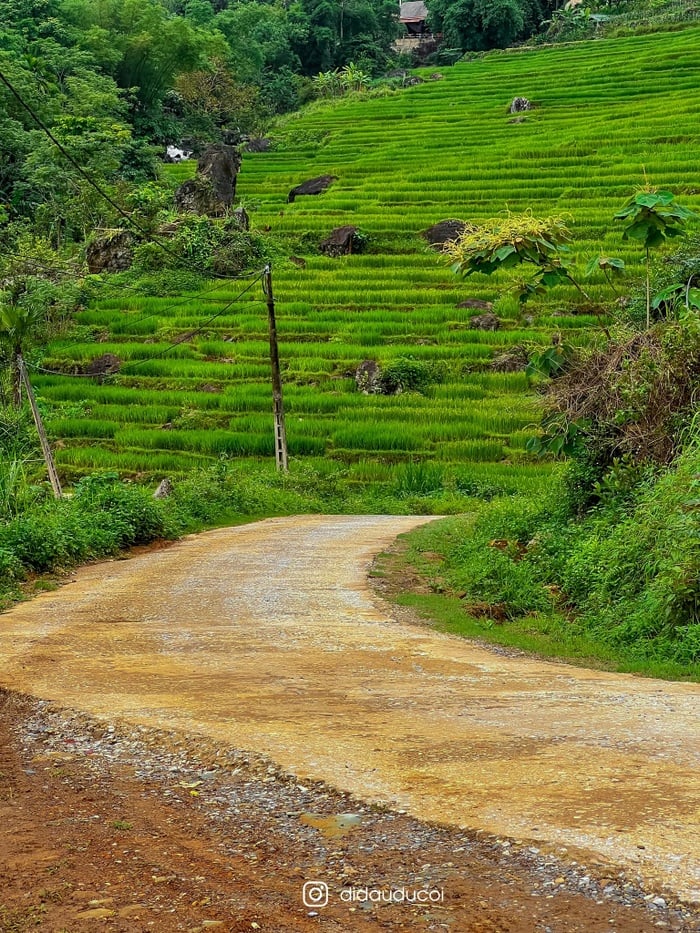 Pù Luông mùa lúa chín đẹp đến xiêu lòng - Ảnh 3.