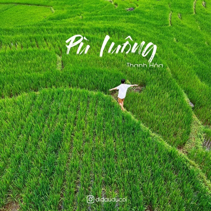 Pù Luông mùa lúa chín đẹp đến xiêu lòng - Ảnh 1.