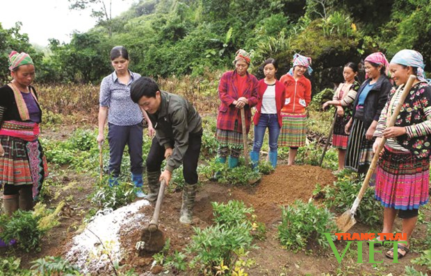 Sìn Hồ tập trung thực hiện các chỉ tiêu trong phát triển kinh tế - Ảnh 2.