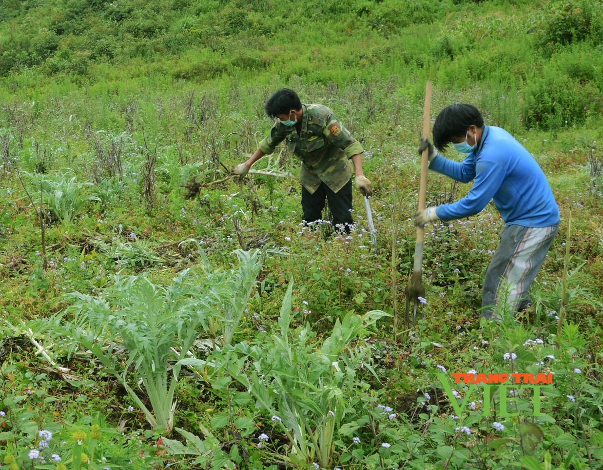 Sìn Hồ tập trung thực hiện các chỉ tiêu trong phát triển kinh tế - Ảnh 1.