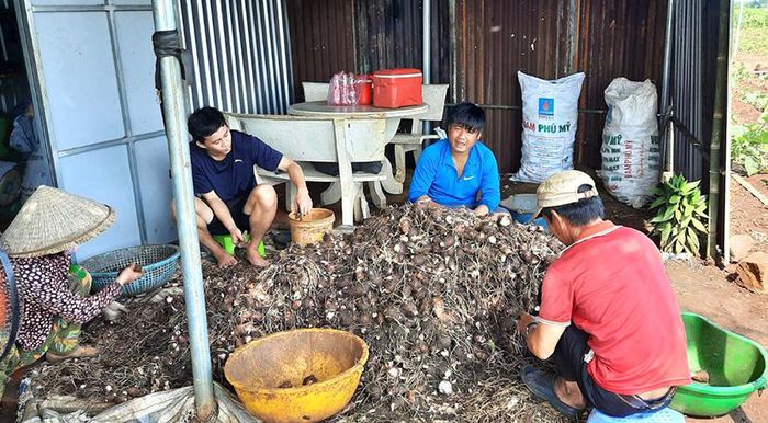 Bà Rịa - Vũng Tàu phát huy tiềm năng sản phẩm đặc trưng của địa phương - Ảnh 1.