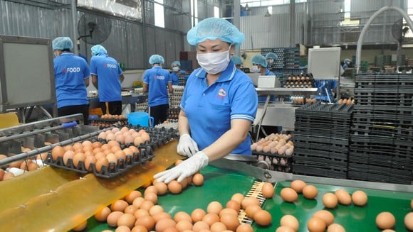 Giá trứng gà, vịt bình ổn chính thức tăng thêm 2.000 đồng/vỉ 10 quả - Ảnh 1.