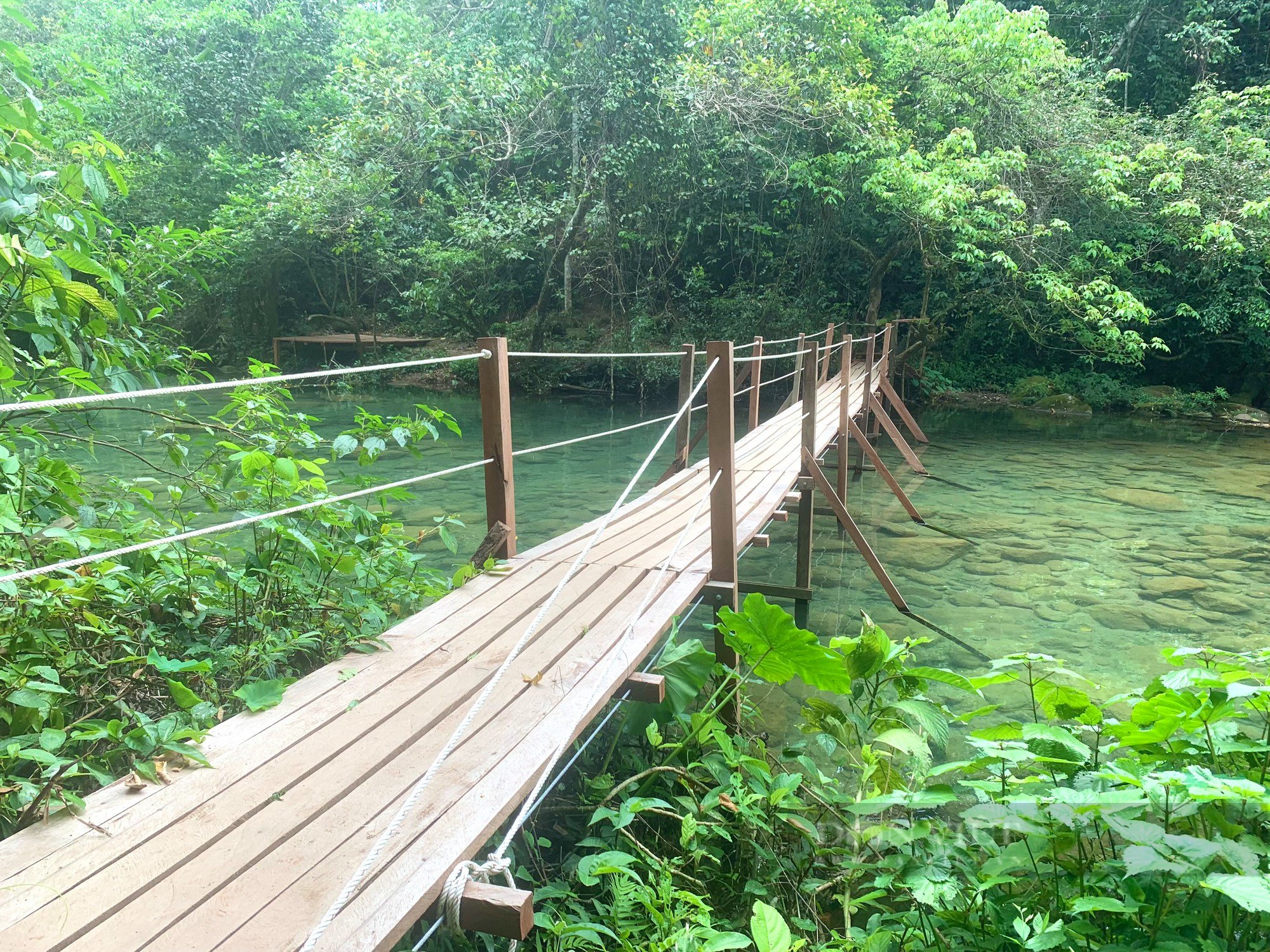Phớt lờ chỉ đạo của Chủ tịch UBND tỉnh Quảng Bình, khu vui chơi giải trí không phép giữa rừng vẫn ngang nhiên hoạt động - Ảnh 1.