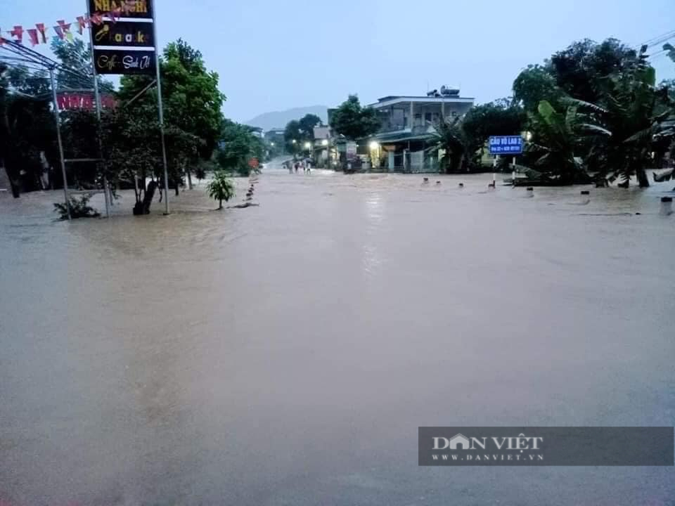 Lào Cai: Mưa lũ làm hàng trăm ha lúa, hoa màu bị ngập sâu - Ảnh 5.