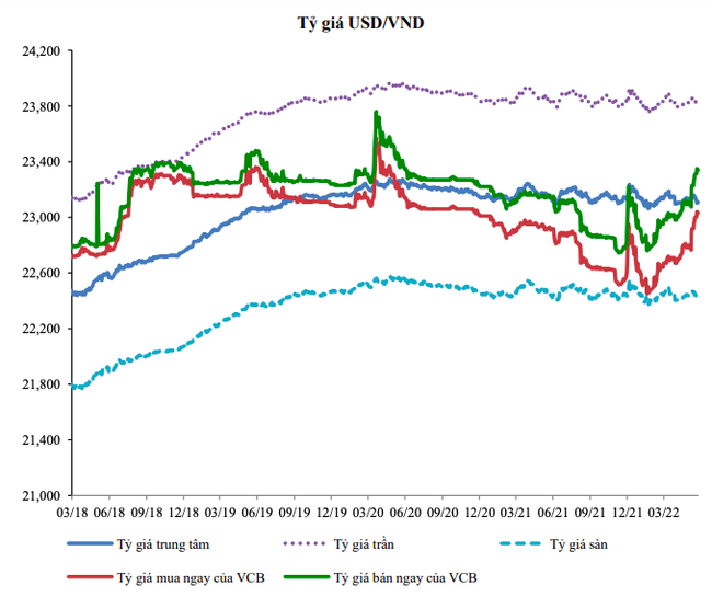 Bão giá: Cung ngoại tế mất dần lợi thế, dự báo &quot;nóng&quot; về tỷ giá USD/VND - Ảnh 1.