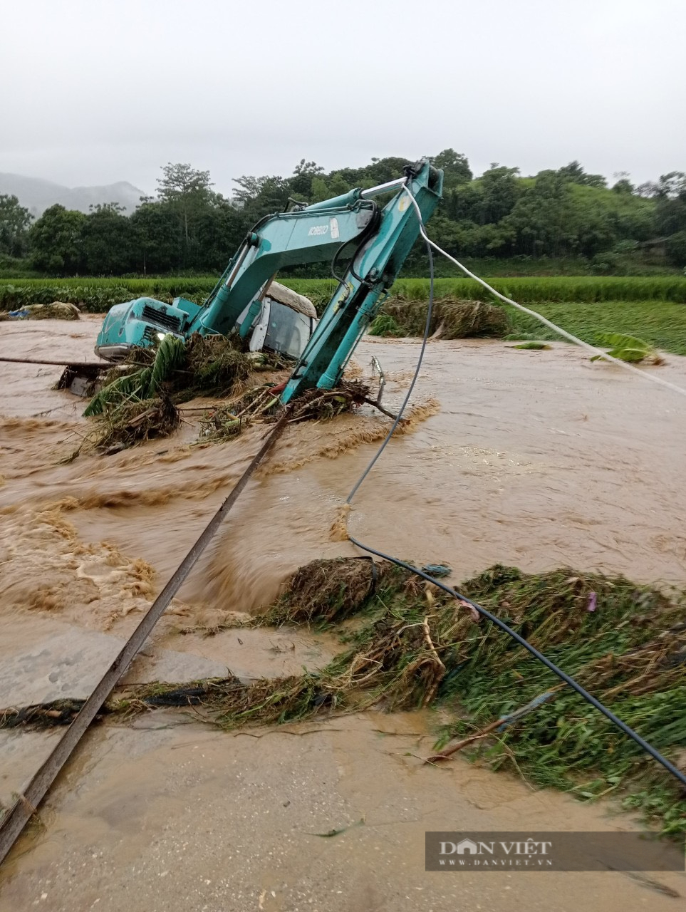 Lào Cai: Mưa lũ làm hàng trăm ha lúa, hoa màu bị ngập sâu - Ảnh 2.