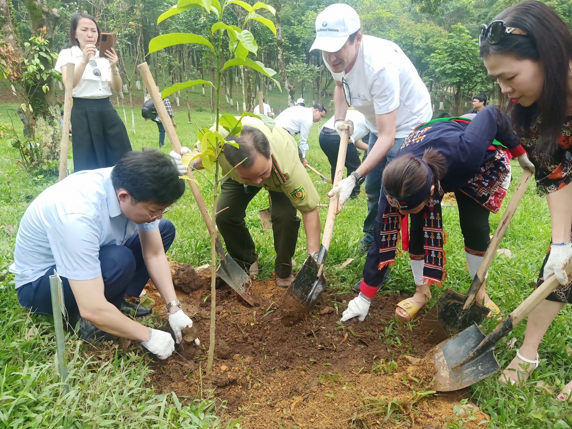 Tổng Thư ký Công ước Liên Hợp quốc về chống sa mạc hóa viết thư kêu gọi chung tay vượt qua hạn hán - Ảnh 1.