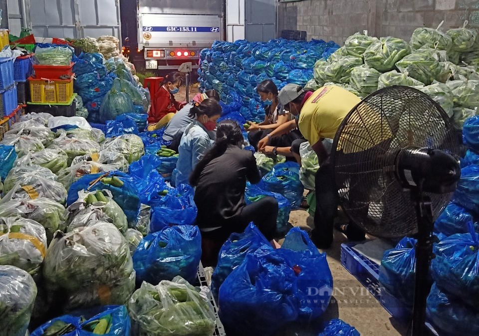 Xăng dầu liên tiếp tăng giá: Nông dân quay cuồng vì giá thuê máy gặt tăng 20.000 – 70.000 đồng/sào, HTX mất 30% lợi nhuận - Ảnh 3.