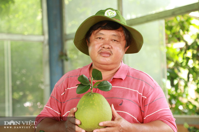 Giá xăng dầu tăng chóng mặt, nông dân “méo mặt” gánh cước vận chuyển nông sản - Ảnh 1.