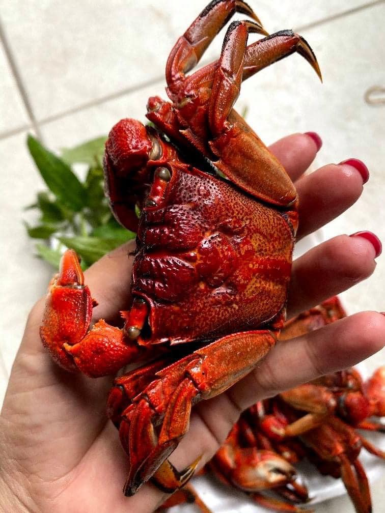 Kể chuyện làng: Ba khía rang me, nhớ hoài hương vị quê nhà - Ảnh 2.