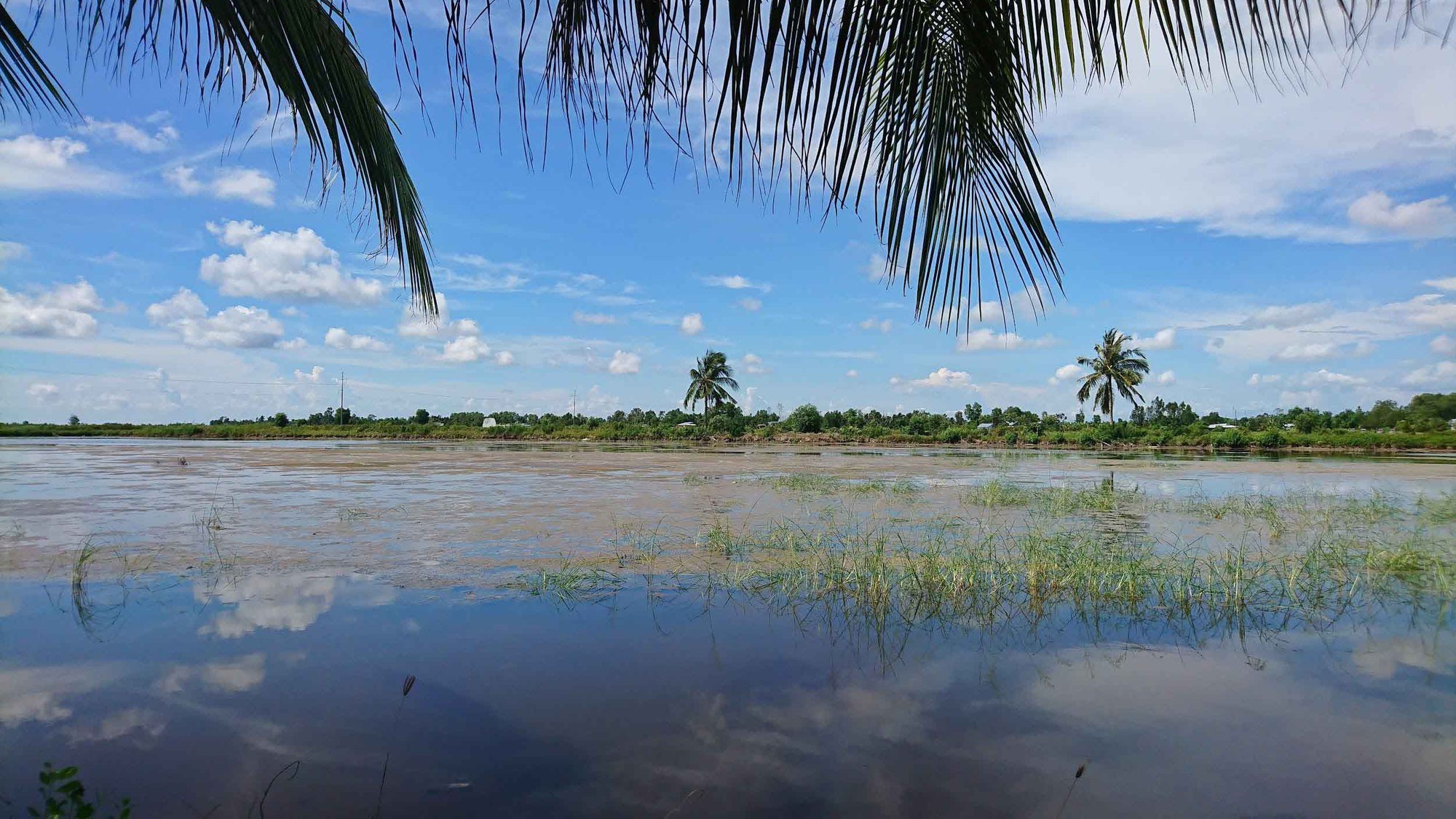 Miệt Thứ - Ảnh 5.