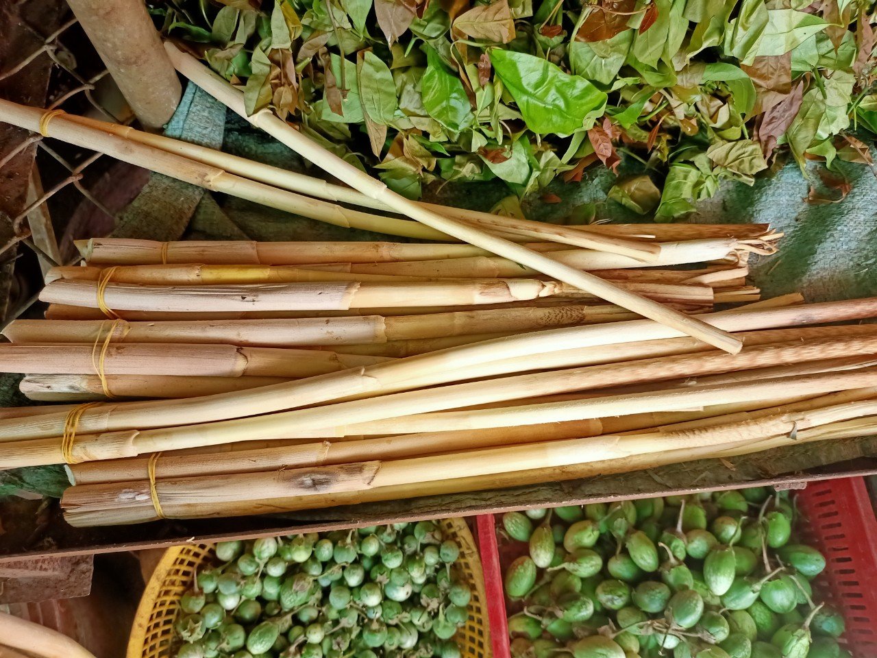 Loại rau rừng mọc hoang trước chẳng ai ngó ngàng tới nay được săn lùng từng tí một để làm vô số đặc sản - Ảnh 3. Loại rau rừng mọc hoang trước chẳng ai ngó ngàng tới nay được săn lùng từng tí một để làm vô số đặc sản - Ảnh 3.