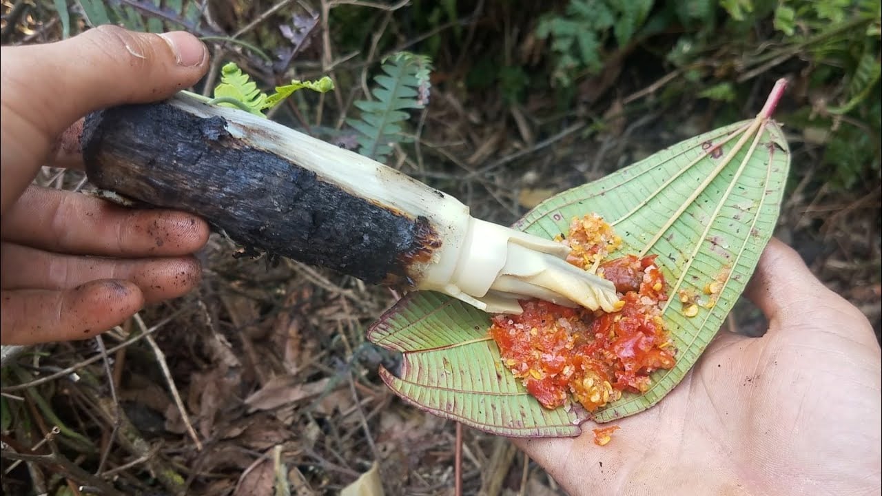Loại rau rừng mọc hoang trước chẳng ai ngó ngàng tới nay được săn lùng từng tí một để làm vô số đặc sản - Ảnh 6. Loại rau rừng mọc hoang trước chẳng ai ngó ngàng tới nay được săn lùng từng tí một để làm vô số đặc sản - Ảnh 6.