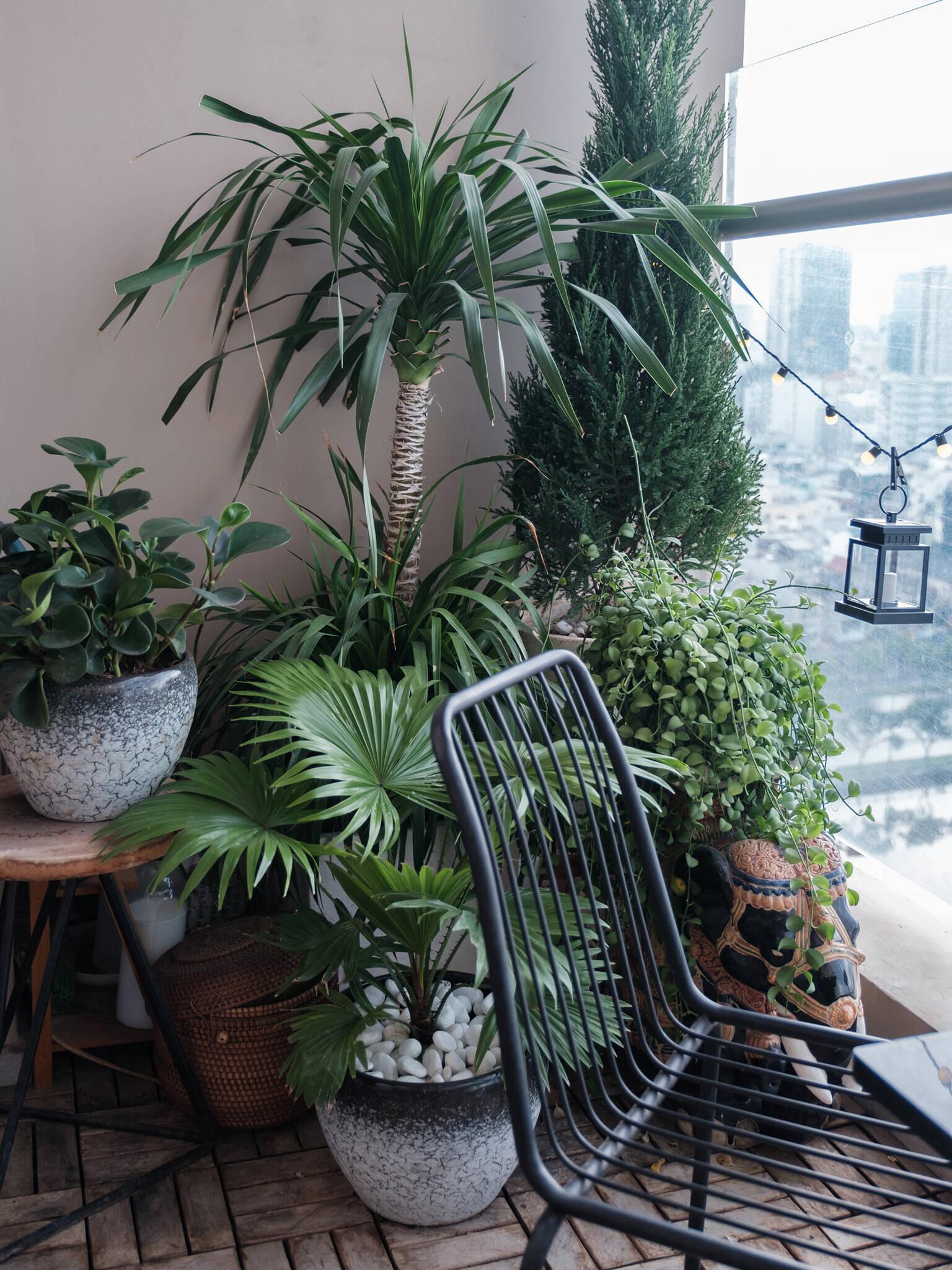 Những mẫu nhà ấn tượng cho gia đình 4 người với chi phí hoàn thiện khoảng 300 triệu đồng - Ảnh 42.