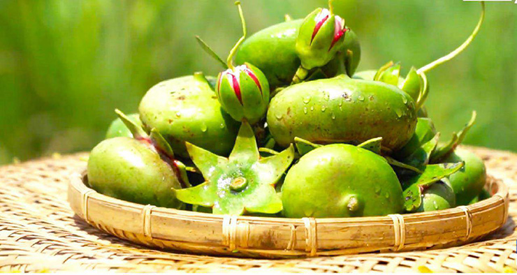Quả bần nhưng giá không &quot;bần&quot; - Ảnh 9.