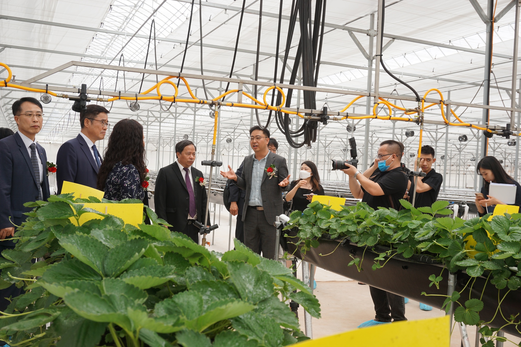 Trang trại thông minh Hàn Quốc tài trợ cho Viện Khoa học Nông nghiệp Việt Nam thông minh như thế nào? - Ảnh 2.