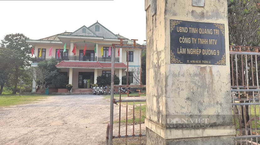 Quảng Trị: Một công ty lâm nghiệp bị thu hồi gần 12,5 tỷ đồng - Ảnh 1.