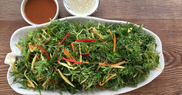 “Nhân sâm người nghèo” xưa trồng làm cảnh, nay là cây “đẻ tiền“ - Ảnh 2.
