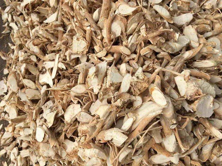 “Nhân sâm người nghèo” xưa trồng làm cảnh, nay là cây “đẻ tiền“ - Ảnh 5.
