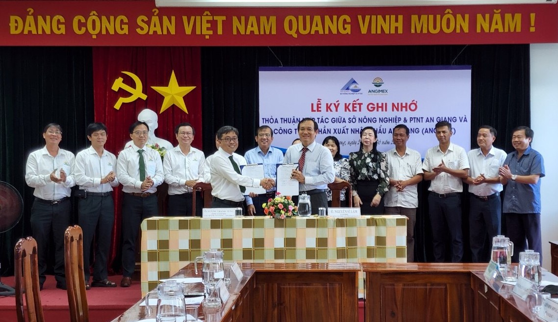 Angimex: Mở rộng vùng nguyên liệu tại An Giang, đảm bảo sản lượng xuất khẩu các đơn hàng lớn - Ảnh 1. Angimex: Mở rộng vùng nguyên liệu tại An Giang, đảm bảo sản lượng xuất khẩu các đơn hàng lớn - Ảnh 1.