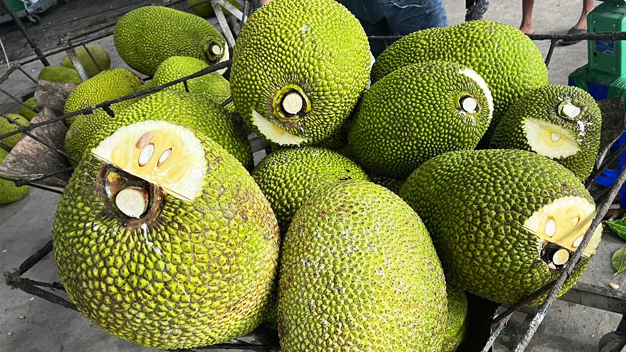 Giá mít Thái hôm nay 24/6: Người dân trồng mít Thái ở Hậu Giang nhận được nhiều hỗ trợ - Ảnh 1.