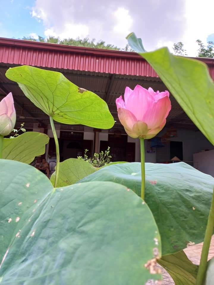 Ký ức Hà Nội: Tình người Hà Nội nồng đượm trong món xôi đỗ đen gây thương nhớ - Ảnh 1.