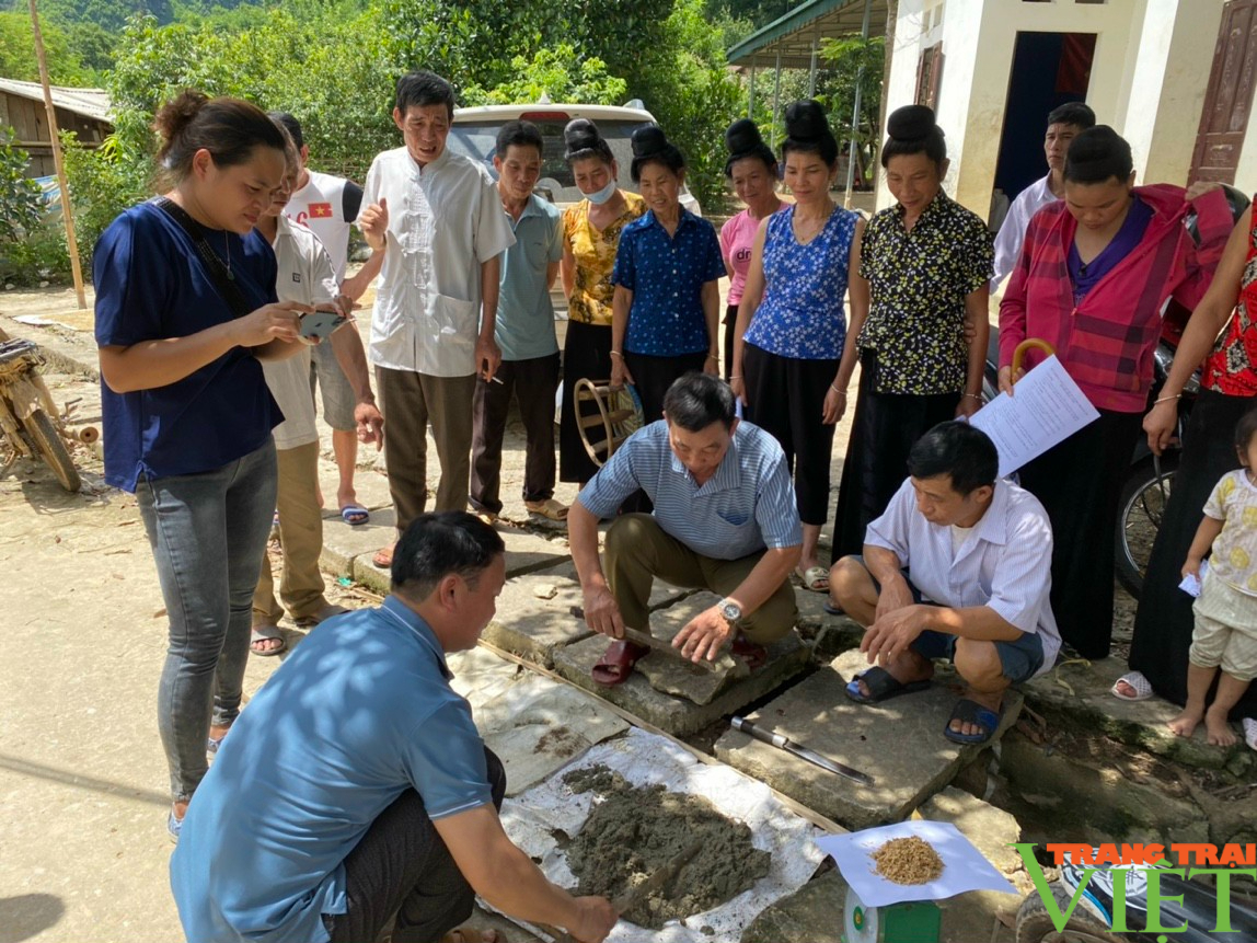 Nâng cao kiến thức cho nông dân sản xuất lúa theo hướng chuyển đổi hữu cơ, thích ứng với biến đổi khí hậu (CAR) - Ảnh 4. Nâng cao kiến thức cho nông dân sản xuất lúa theo hướng chuyển đổi hữu cơ, thích ứng với biến đổi khí hậu (CAR) - Ảnh 4.
