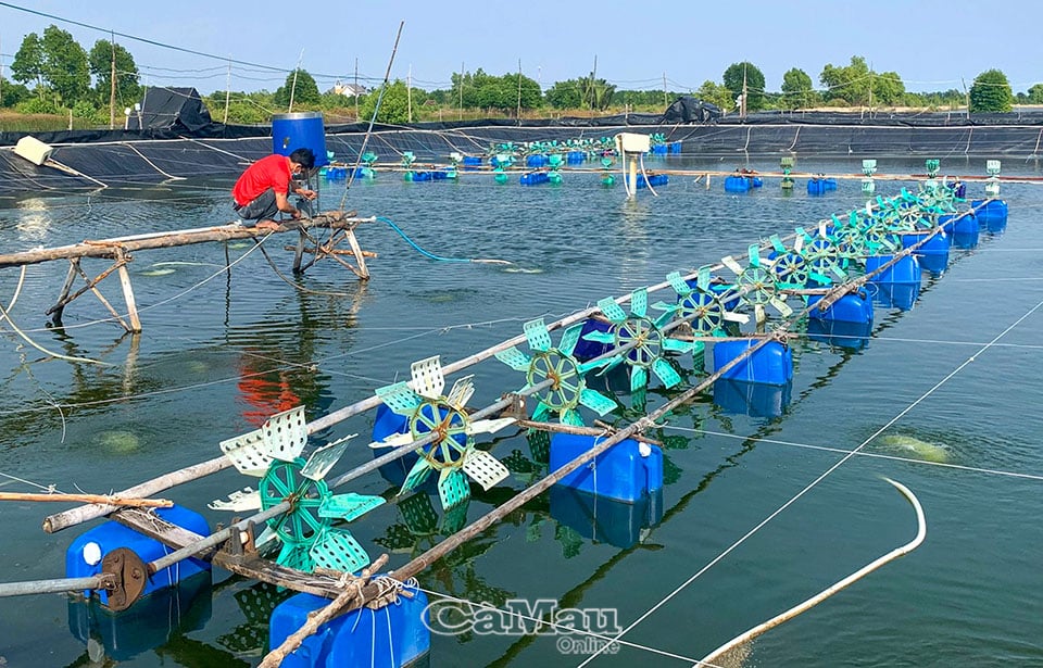 Máy cho tôm ăn tự động do chàng trai 9X Cà Mau sáng chế, chế tạo bán sang cả Trung Quốc, Tây Ban Nha - Ảnh 3.