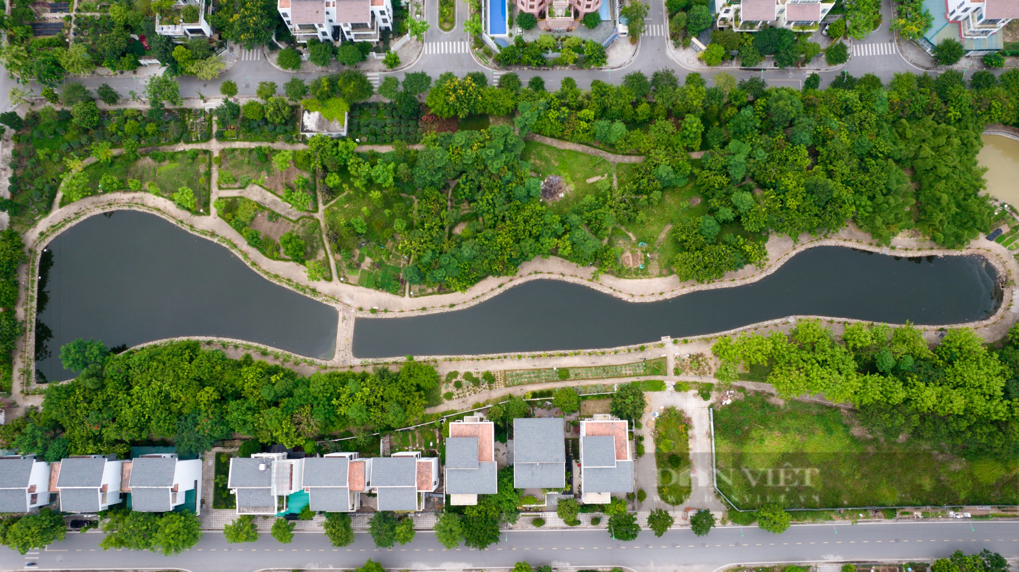 Cận cảnh biệt thự có giá hàng tỉ đồng “hóa rừng” trong khu đô thị Xuân Phương mà Hà Nội vừa yêu cầu rà soát - Ảnh 5.
