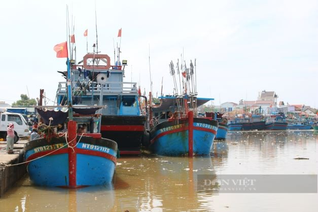 Ninh Thuận: Chưa bao giờ ngư dân muốn ra khơi lại “khó” như lúc này - Ảnh 1.