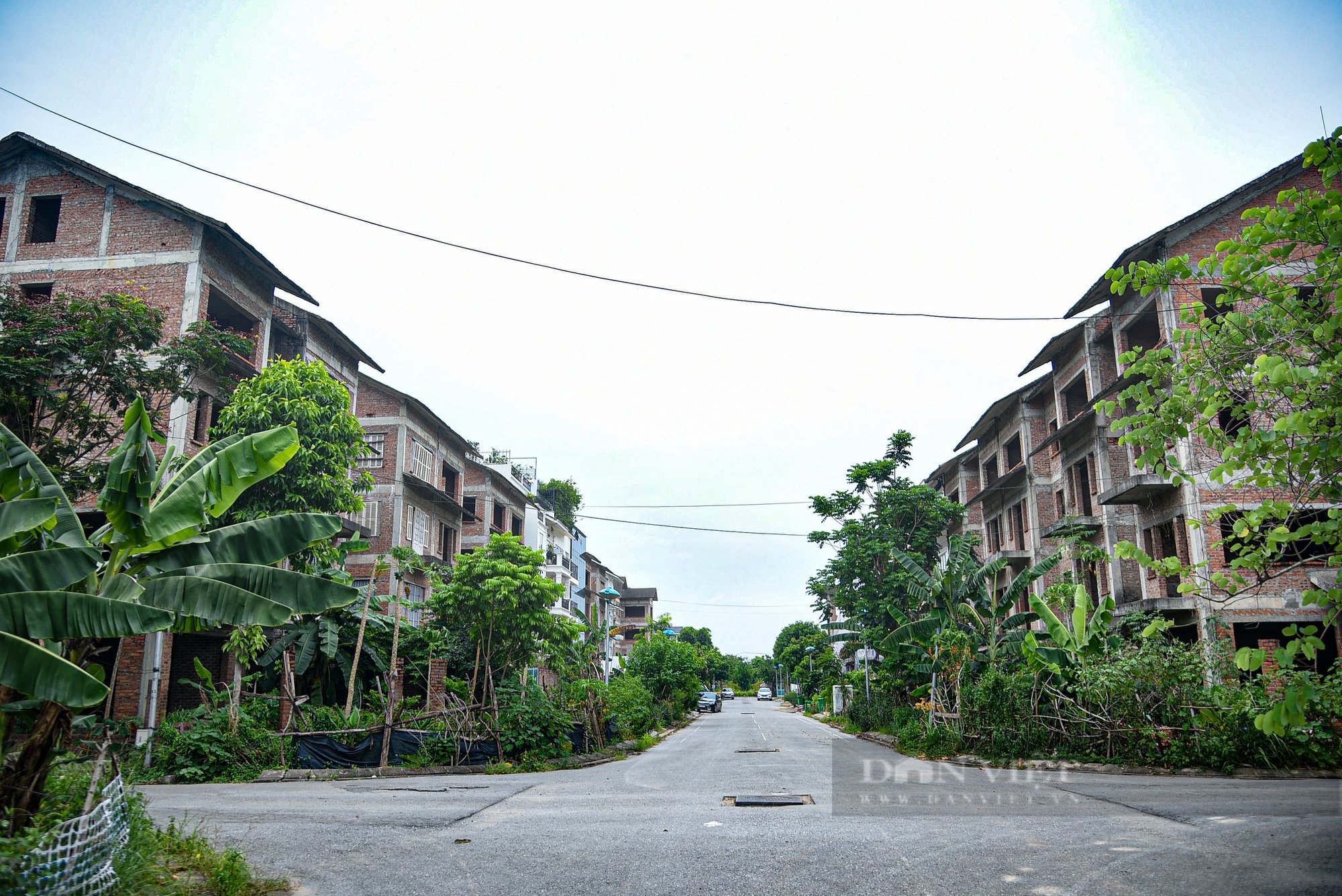 Cận cảnh biệt thự có giá hàng tỉ đồng “hóa rừng” trong khu đô thị Xuân Phương mà Hà Nội vừa yêu cầu rà soát - Ảnh 4.