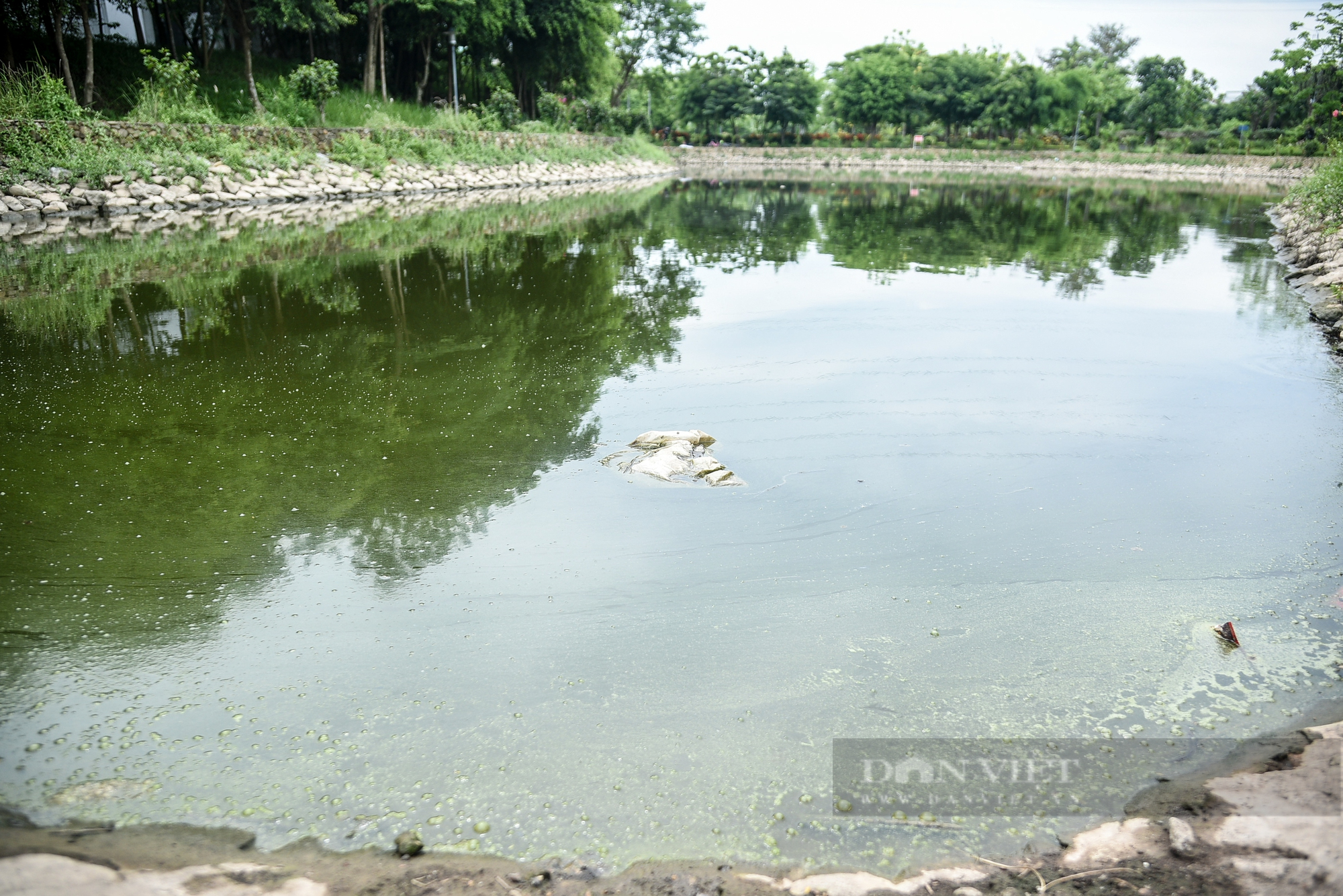 Cận cảnh biệt thự có giá hàng tỉ đồng “hóa rừng” trong khu đô thị Xuân Phương mà Hà Nội vừa yêu cầu rà soát - Ảnh 14.
