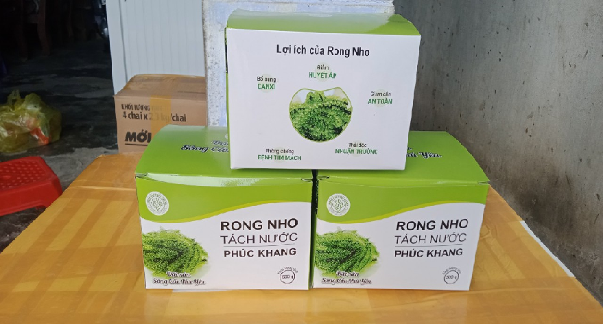 Trồng loại rau một người ăn cả nhà khen, ham bơi nước mặn, dân Phú Yên lội vớt bán lời hàng trăm triệu - Ảnh 2.