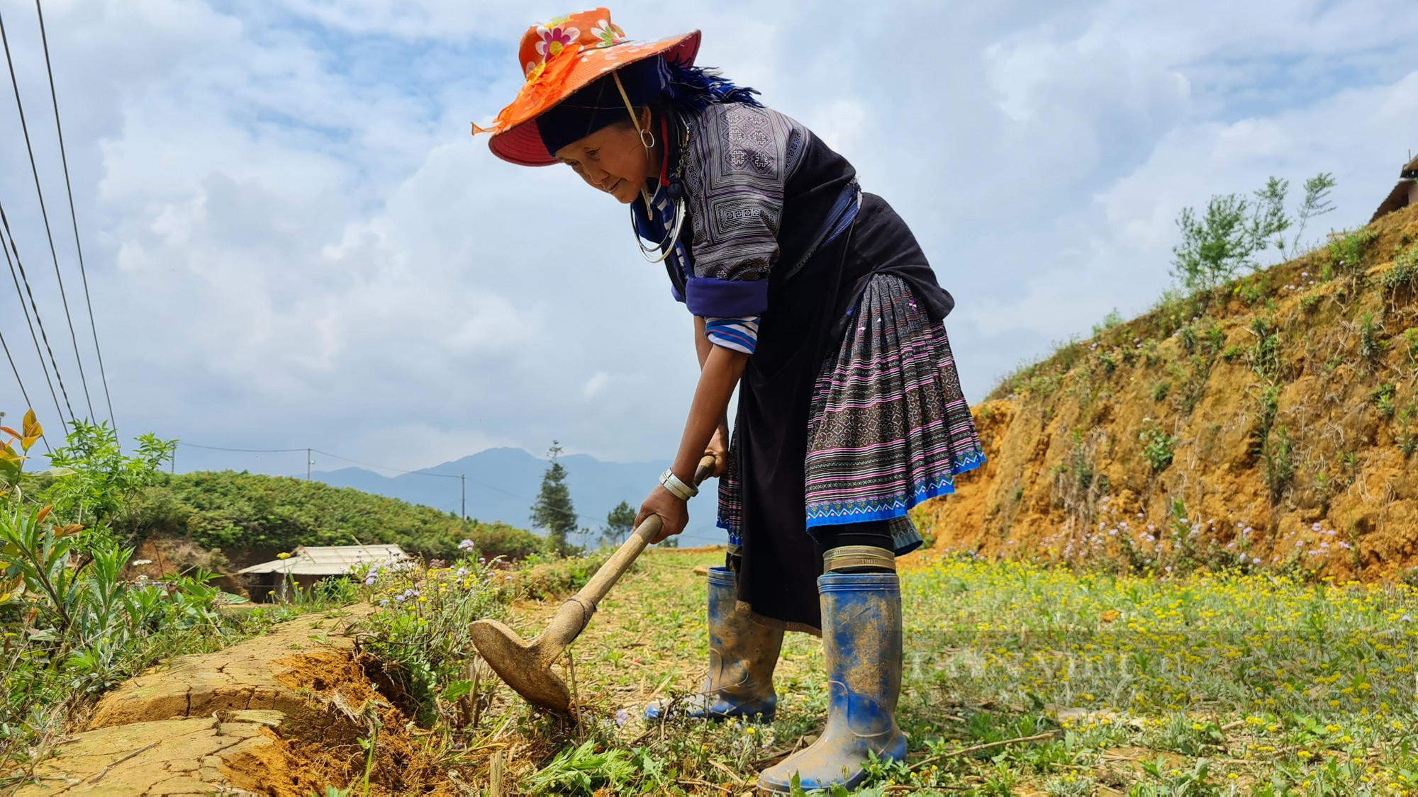 Lời kể của người mất 2 tháng nhặt đá, xới cỏ để tạo thành &quot;Mâm xôi&quot; nổi tiếng khắp nơi.  - Ảnh 5.