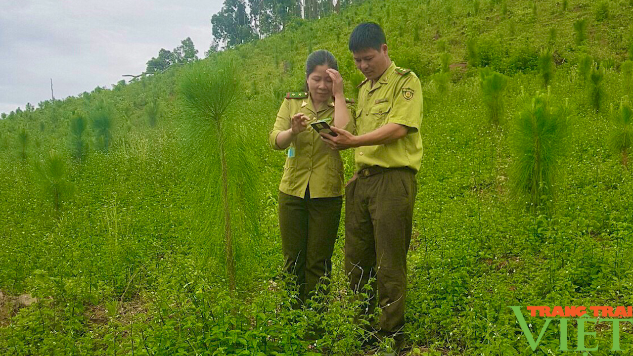 Kiểm Lâm Sơn La: Vì một môi trường làm việc không khói thuốc - Ảnh 4.