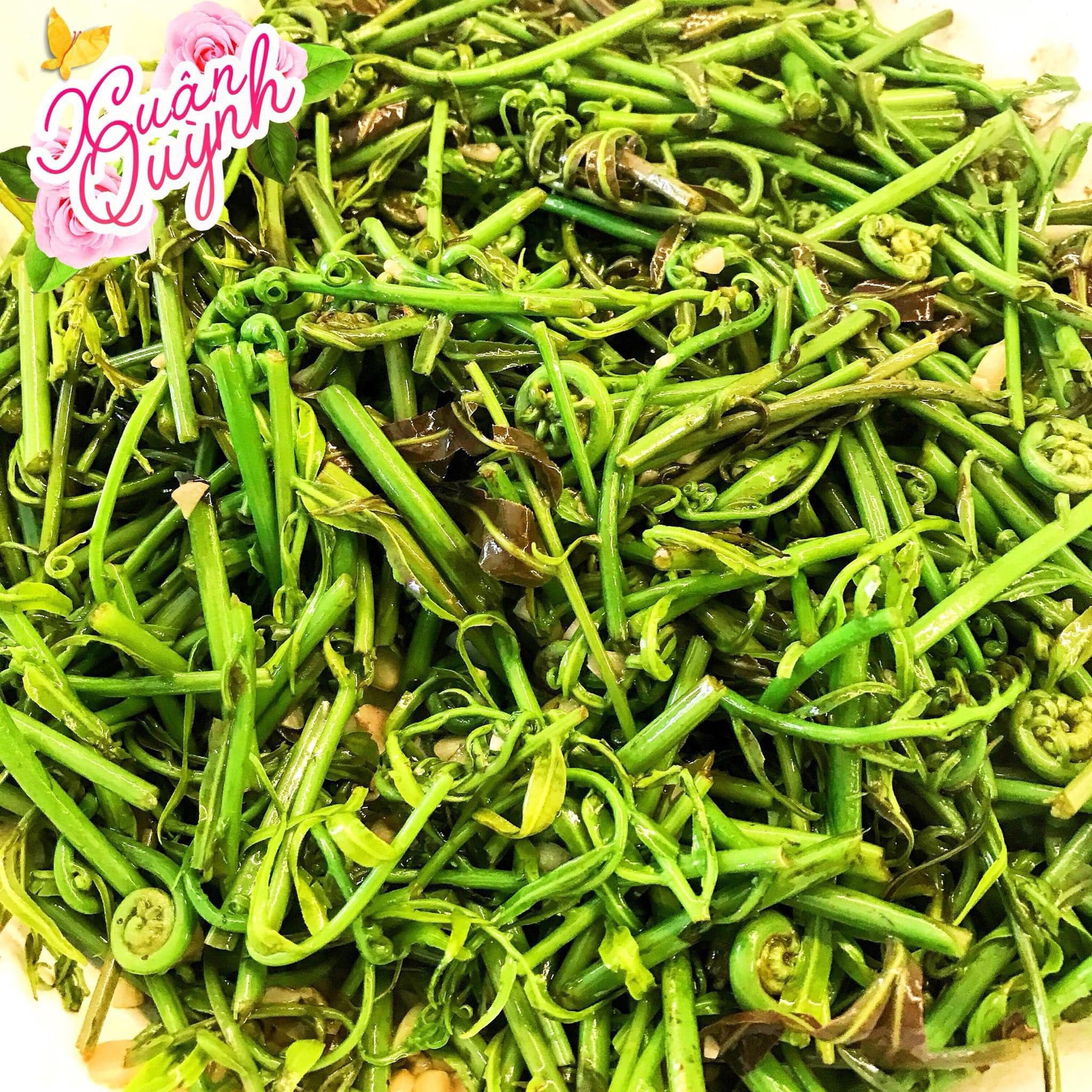6 loại rau dại chẳng cần chăm bón vẫn phát triển sum suê nhưng ngon khó cưỡng ở miền Tây - Ảnh 10.