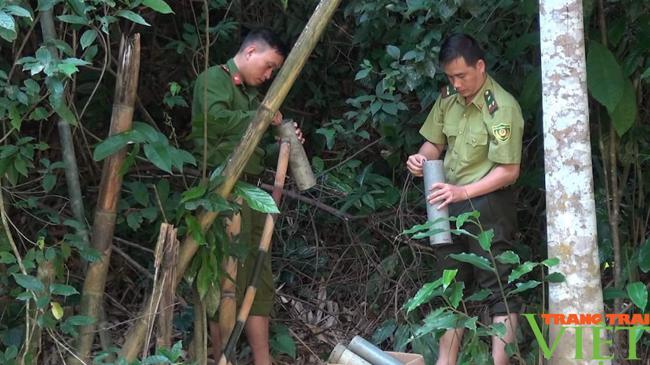 Kiểm Lâm Sơn La: Vì một môi trường làm việc không khói thuốc - Ảnh 2.