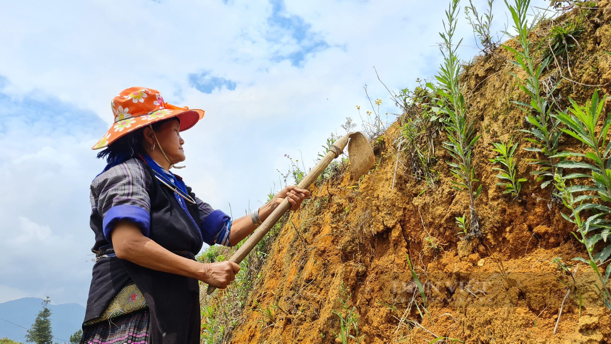 Lời kể của người mất 2 tháng nhặt đá, xới cỏ để tạo thành &quot;Mâm xôi&quot; nổi tiếng khắp nơi.  - Ảnh 2.