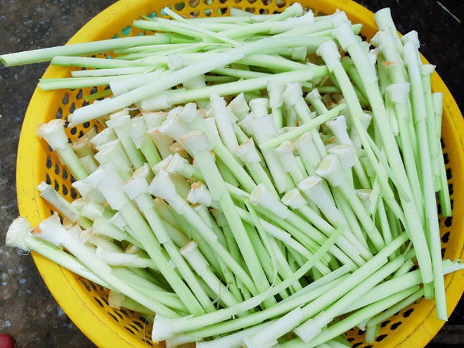 6 loại rau dại chẳng cần chăm bón vẫn phát triển sum suê nhưng ngon khó cưỡng ở miền Tây - Ảnh 9.
